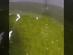 مستشعر الأكسجين المذاب البصري عبر الإنترنت Rs485 مستشعر الأكسجين البصري